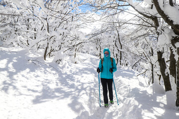 Fototapeta na wymiar girl hiker among thick snow-covered bushes; amazing, peaceful landscape during a cold winter in the mountains