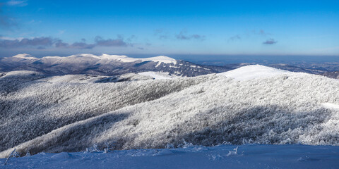 panorama of mountains with shrubs covered by a thick layer of snow, frozen mountain vegetation covering the slopes of mighty mountains © Lens Down Under