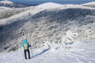 Hiker girl with poles walks along snowy mountainside with frozen bushes and mighty mountains in the background; hiking in cold winter weather