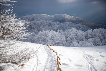 panorama of amazing idyllic landscape of the mountains during the cold winter; frosted bushes and sunshine breaking through the snowy clouds