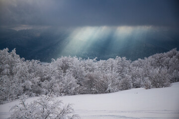 panorama of amazing idyllic landscape of the mountains during the cold winter; frosted bushes and sunshine breaking through the snowy clouds