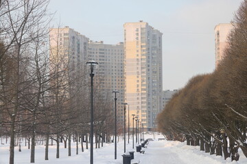 Winter landscape in the city park, snow-covered road and buildings. Houses on the outskirts of Moscow, Russia in winter, Butovo residential area.
