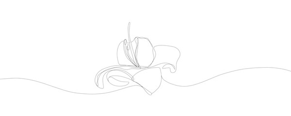 Flower in single continuous line drawing style for logo or emblem. Modern simple vector illustration. Line art flower