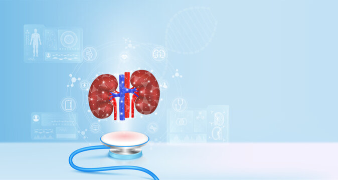 Kidney float away from stethoscope. Medical icons image virtual hologram on screen computer. Doctor diagnose digital data record. Electronic medical technology innovation. 3d Vector.