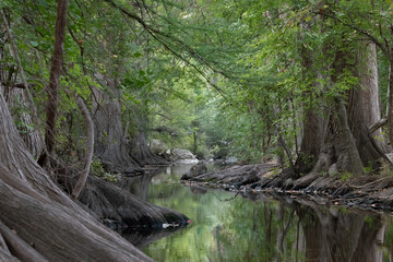 Cibolo Creek in Fall, Boerne, Texas