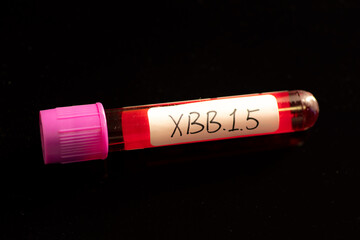 Blood collection tubes COVID XBB.1.5 test positive results