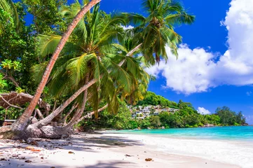 Poster Idyllic tropical nature of exotic Seychelles islands. Palm white sandy beach scenery © Freesurf