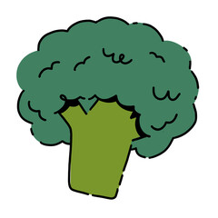 Hand drawn illustration, broccoli cartoon, broccoli icon,  colorful flat illustration, Minimalist, vegetable