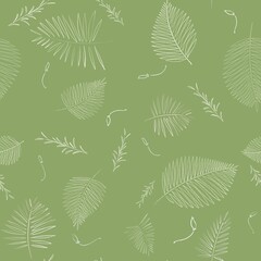 White leaves and herbs on green background 