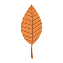 Autumn Leaf Icon Illustration
