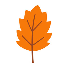 Autumn Leaf Icon Illustration