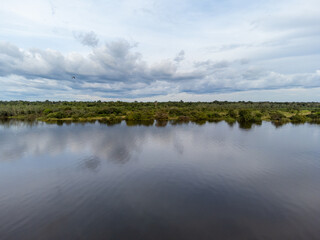 amazing calm river reflecting forests trees