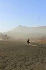 Fototapeta na wymiar horse riders are spurring their horses in the desert area of ​​​​Mount Bromo