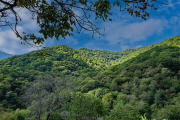 Mountains and forests of Abkhazia.