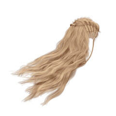Long hair high fantasy isolated 3d render blonde
