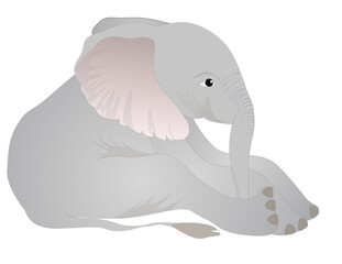 Elephant cartoon vector illustration 