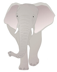 Obraz premium Elephant wildlife animal vector illustration 