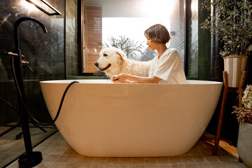 Young woman washing her cute white dog in bathtub at home. Concept of animal care, spa procedures...
