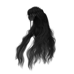 Long hair high fantasy isolated 3d render black hair dark