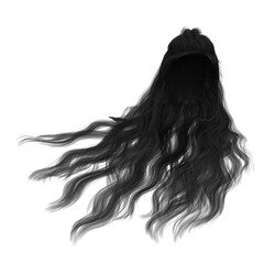 Long hair high fantasy isolated 3d render black hair dark