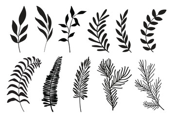 Set of leaves. Hand drawn decorative elements. Vector illustration