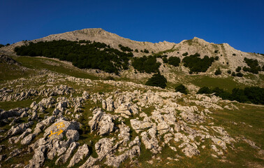 Landscape in Aizkorri natural park, Basque Country, Spain