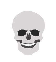 Skull isolated on transparent background. PNG illustration