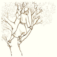 Zacchaeus. The man in the tree looks out into the crowd. Pencil drawing