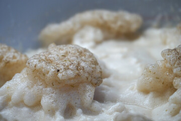 Beer yeast foam - alcohol fermentation process