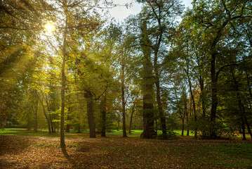 Erdody castle park in autumn.Amazing fall colored landscape. This place is in west Hungary near by...