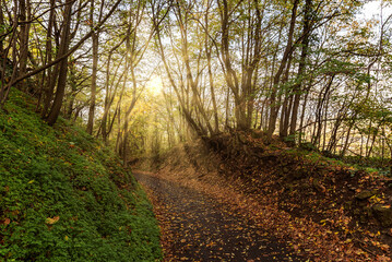 Erdody castle park in autumn.Amazing fall colored landscape. This place is in west Hungary near by Lake Balaton