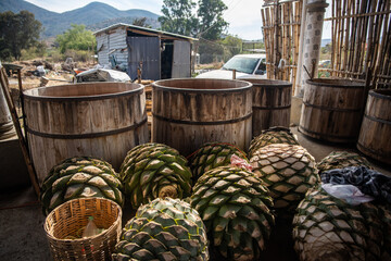 Mezcal Palenque Distillery Oaxaca - 573997603