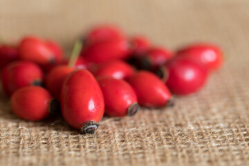 Ripe rose hips harvested for making preserves for the winter, close-up. Healthy eating.