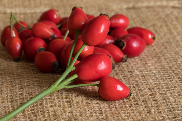 Ripe rose hips harvested for making preserves for the winter, close-up. Healthy eating.