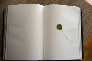 Trébol de cuatro hojas sobre hoja blanca de libro. 