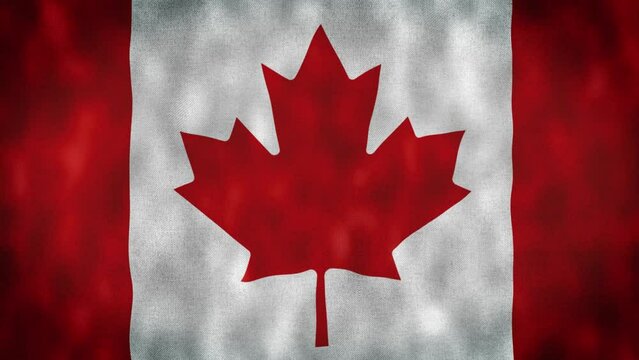 Canadian flag waving in wind video footage 4K. Realistic Canadian Flag background. Canada Flag Looping Closeup