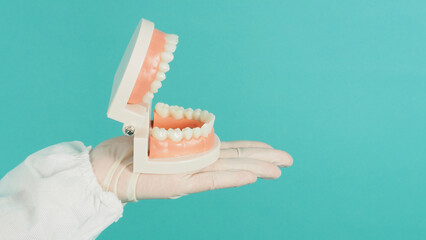 Fototapeta na wymiar Orthodontic model of teeth in hand that wearing medical glove on green mint background.
