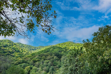 Fototapeta na wymiar Mountains and forests of Abkhazia.