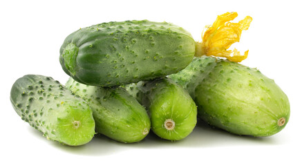 Isolated Cucumbers for Your Organic and Natural Designs