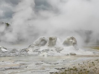 geyser in national park of yellowstone