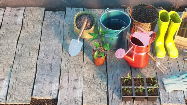 gardening tools and props at sunny day 3d render  view from the top