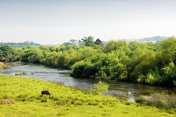 River Boyne, County Meath, Ireland. The ford at Oldbridge where William of Orange crossed to...
