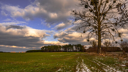 Billowing clouds over the fields of the Polish countryside.