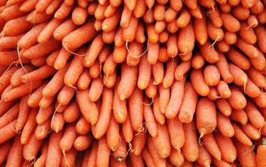 organic carrots at the market