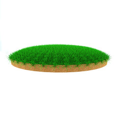 Island Grass on isolated White Background. 3D rendering