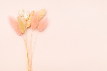 various dried spikelets on pink background close up with copyspace