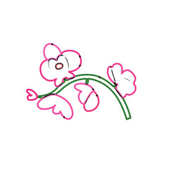 Color sketch of an orchid flower with transparent background