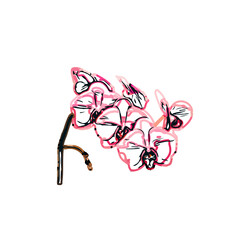 Color sketch of an orchid flower with transparent background