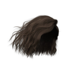 3d render illustration beauty short hair isolated brown brunette