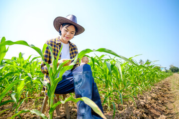 A female Asian farmer wearing a striped top and hat is sitting happily watching the corn crop.